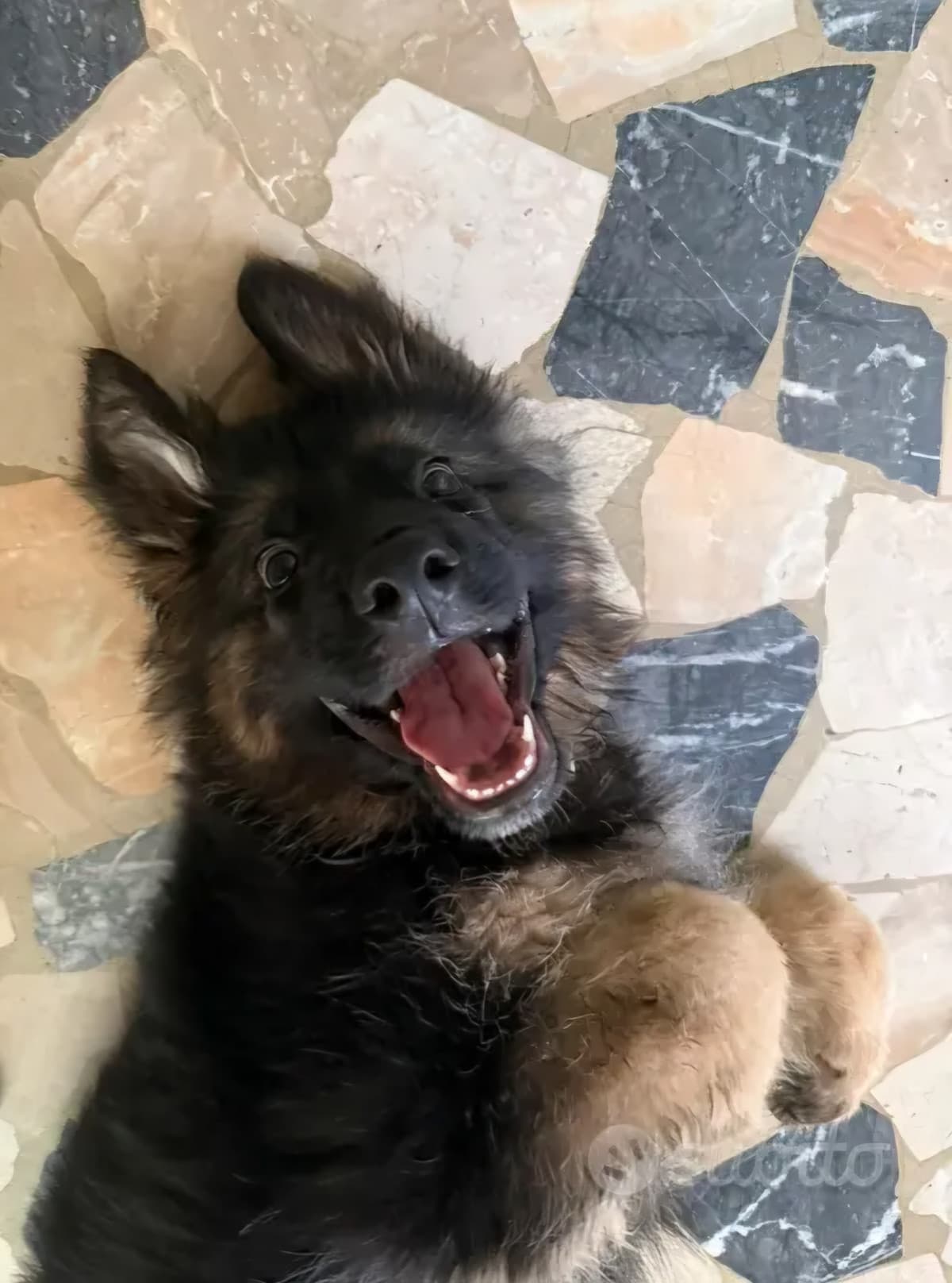 Io sono felice, e voi?