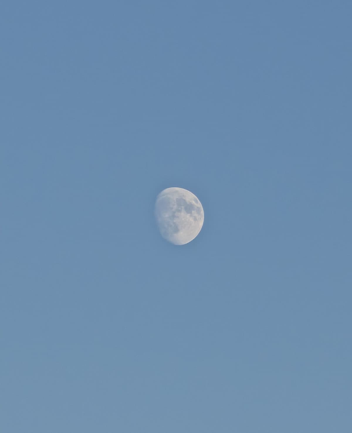 A voi piace la luna?🌔