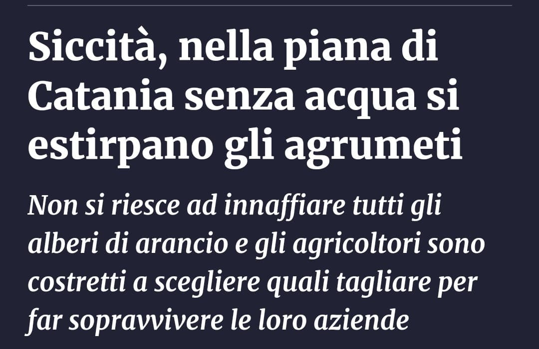 Ma la priorità per il governo è pagare 60k euro alle donne che si rifiutano di abortire