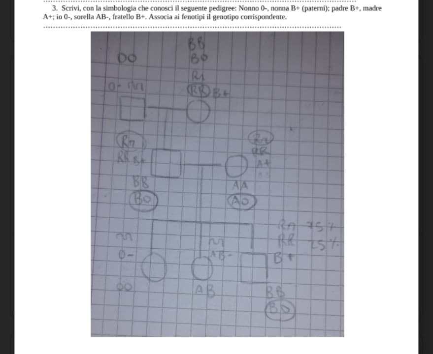 Se siete bravi a biologia, mi potete dire se l'ho fatto beneeee?? 