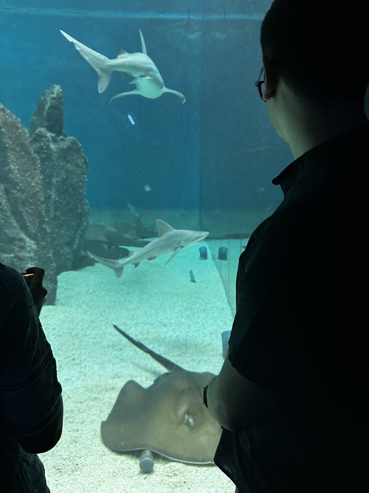 Abbiamo finito il giro all’acquario. Sta piovendo come non mai 😜😜👍🏻