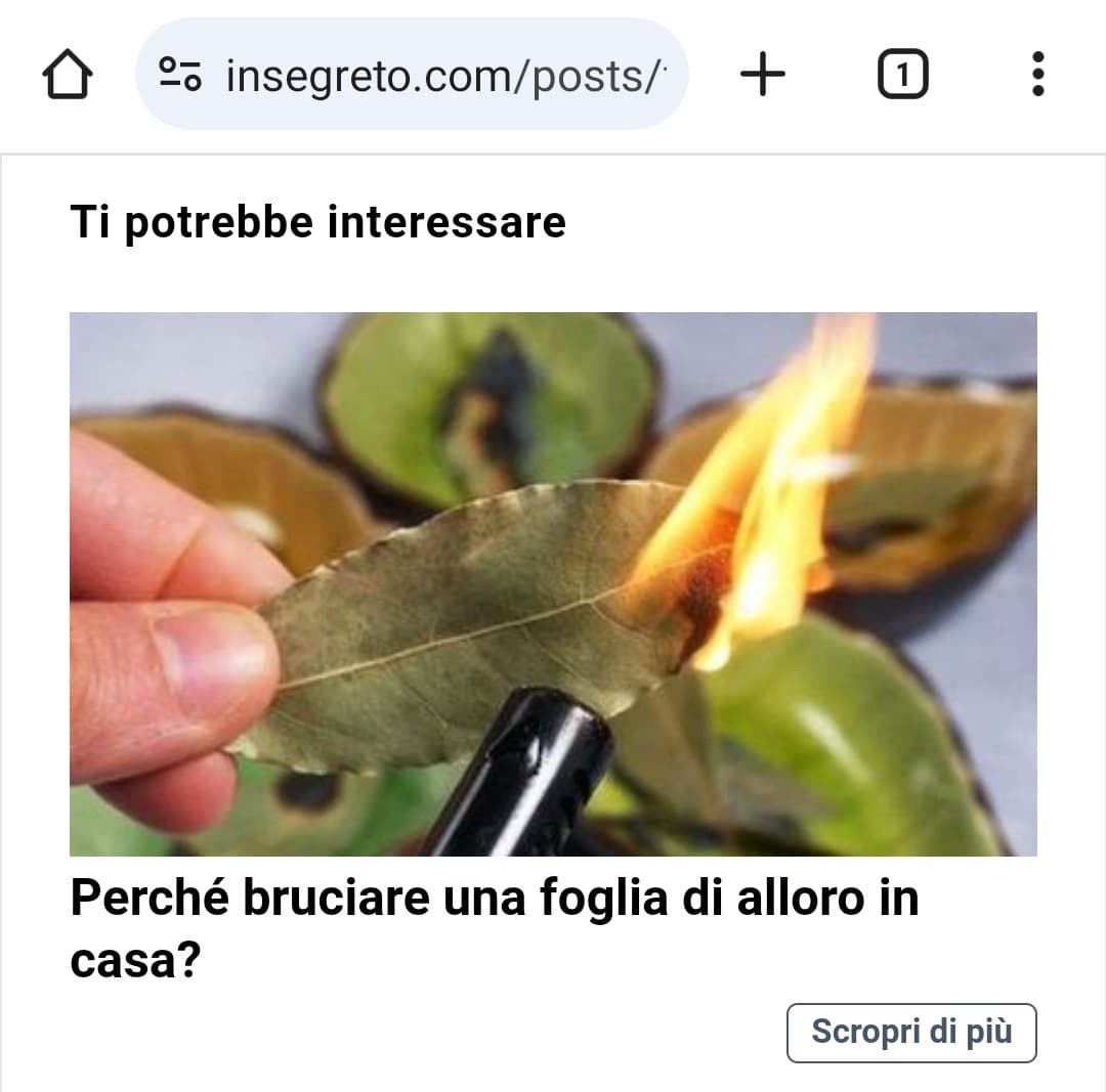 Gli sviluppatori dovrebbero pensare a sistemare la miriade di bug che popolano il sito e invece mettono una pubblicità che non puoi chiudere 