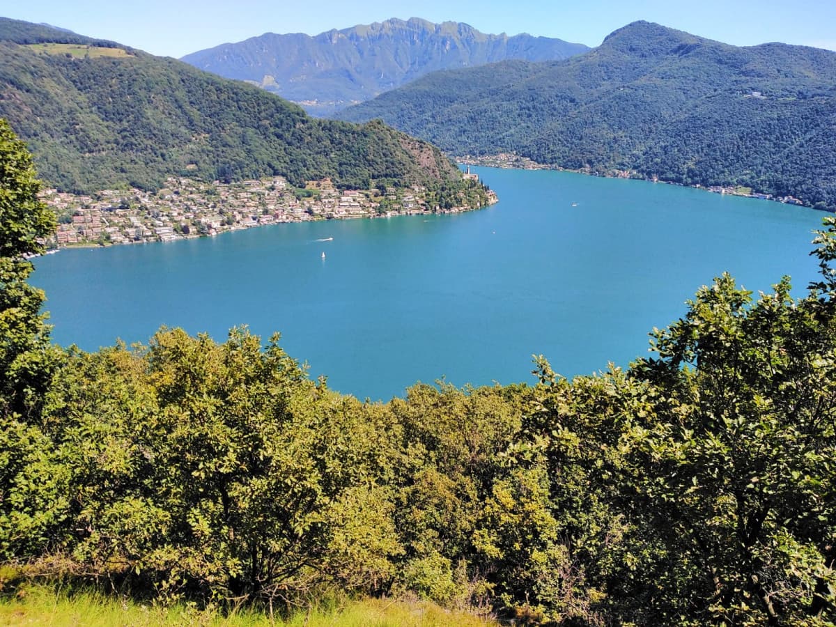 Passeggiata nel bosco ?