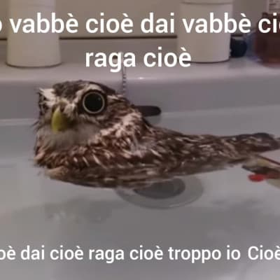 Cioè dai cioè, cioè sì da cioè sono troppio io cioè