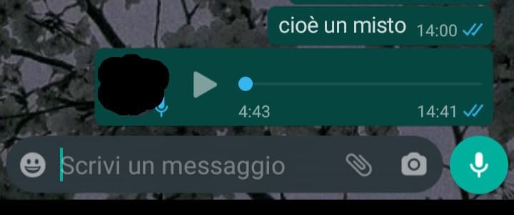 nessuno: 
io allla mia migliore amica: