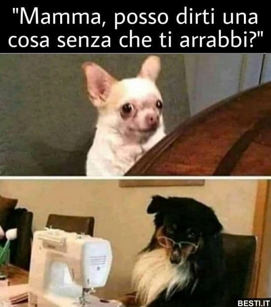 Buona festa della mamma ?