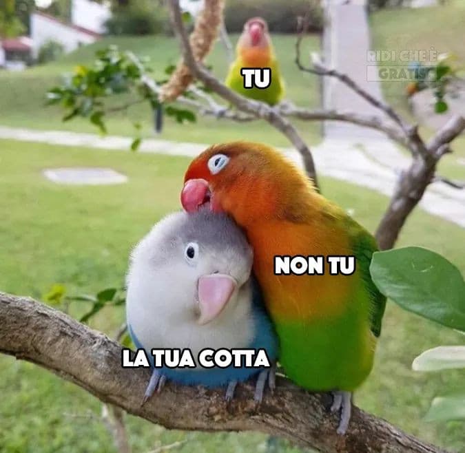 Buon San Valentino