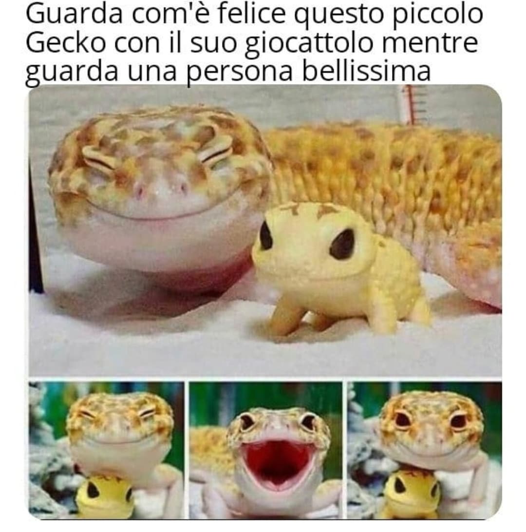 Rivolto a tutta la community di insegreto❤️