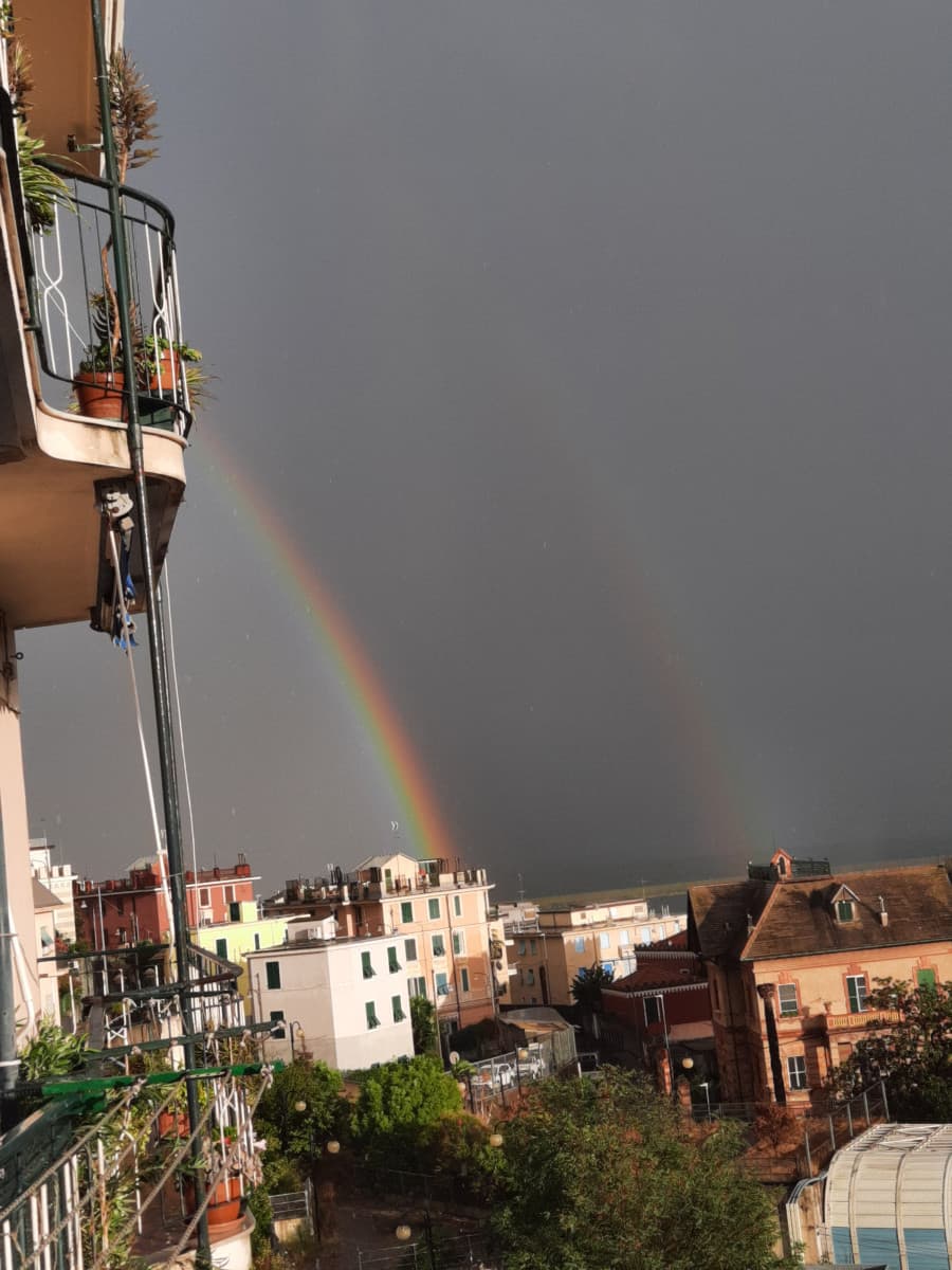 Voglio tanto morire, o fare del male fisico permanente a qualcuno, siete tutti dei coglioni cazzo