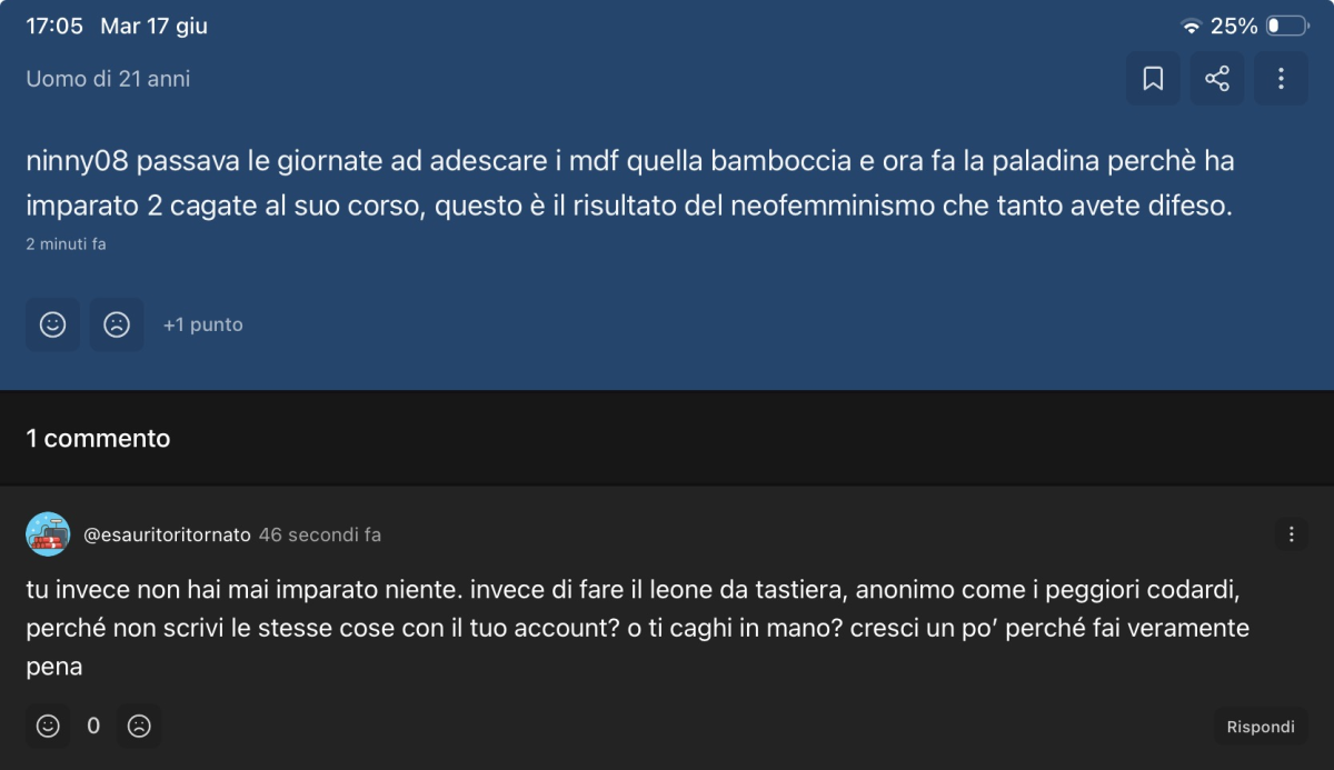 quando sei così codardo da insultare e