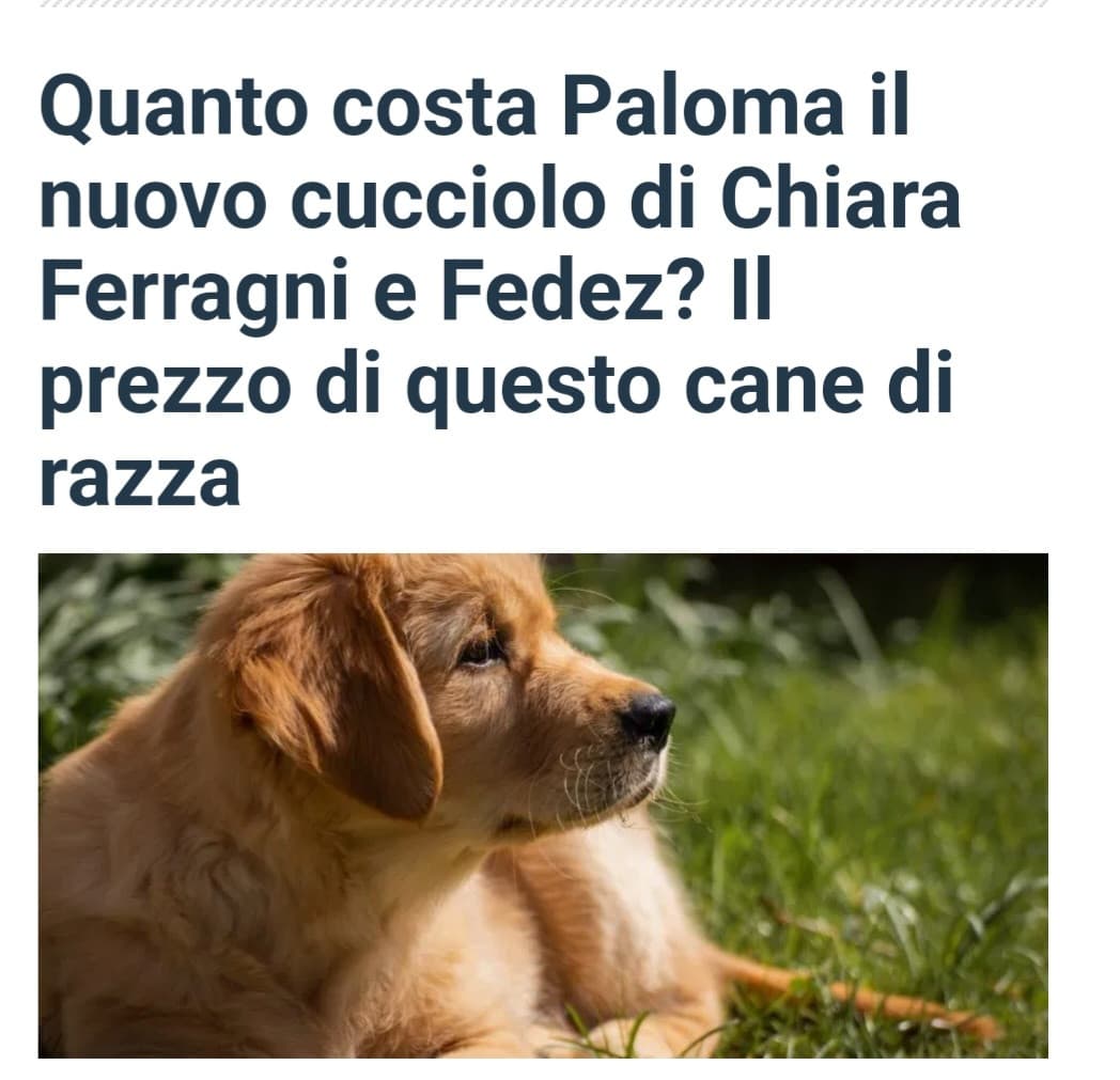 E a noi che ne frega