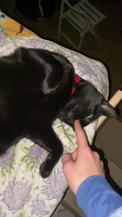 Volevo andare a letto e trovo lui