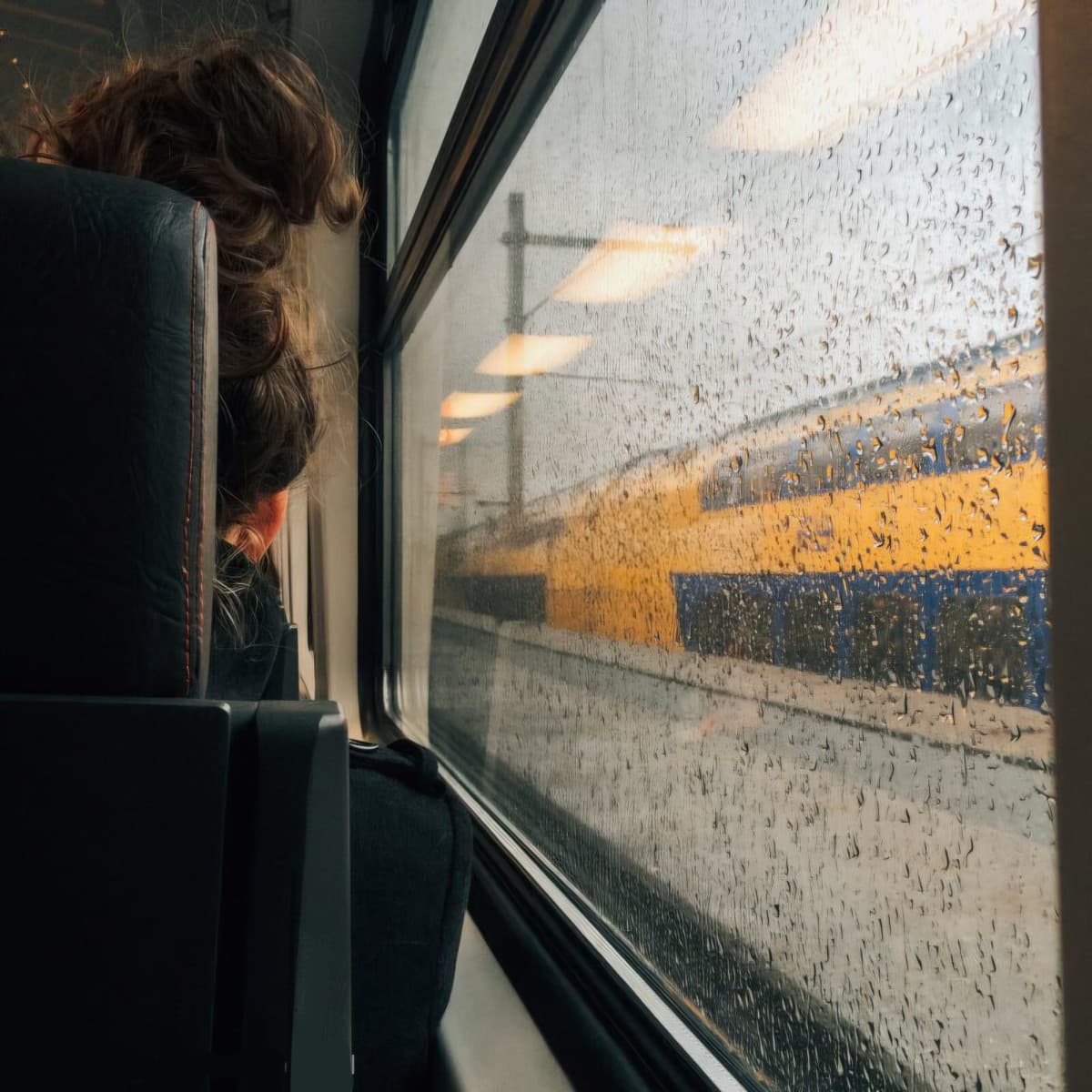 La ragazza sul treno