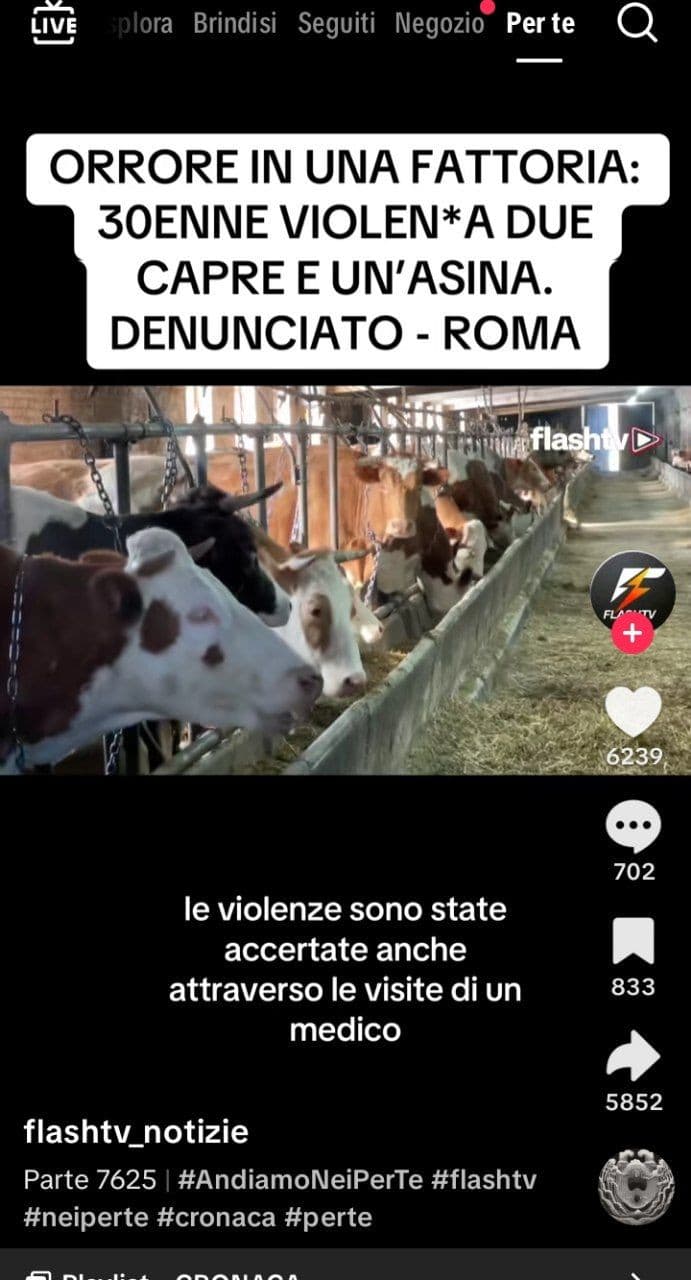 Apro tiktok e questo è il primo video... cosa cazzo mi stai dicendo lesioni agli organi sessuali in condizioni di paura e rifiuto del cibo 😐