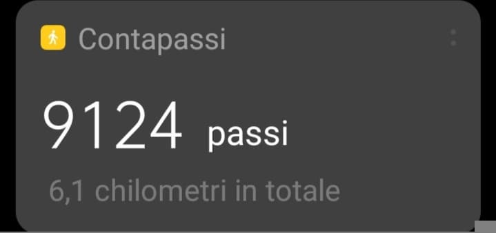 Finito di correre