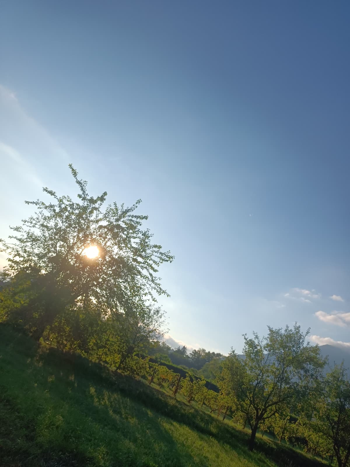 Passeggiatina delle 6:30 fatta