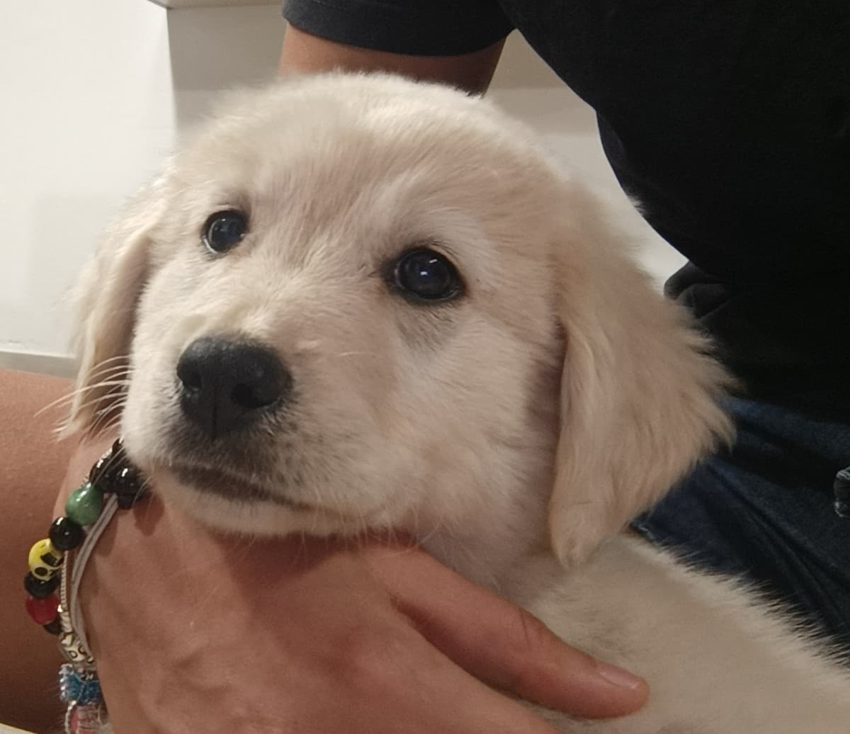 🎀💛BENVENUTA A CASA ZIVA💛🎀