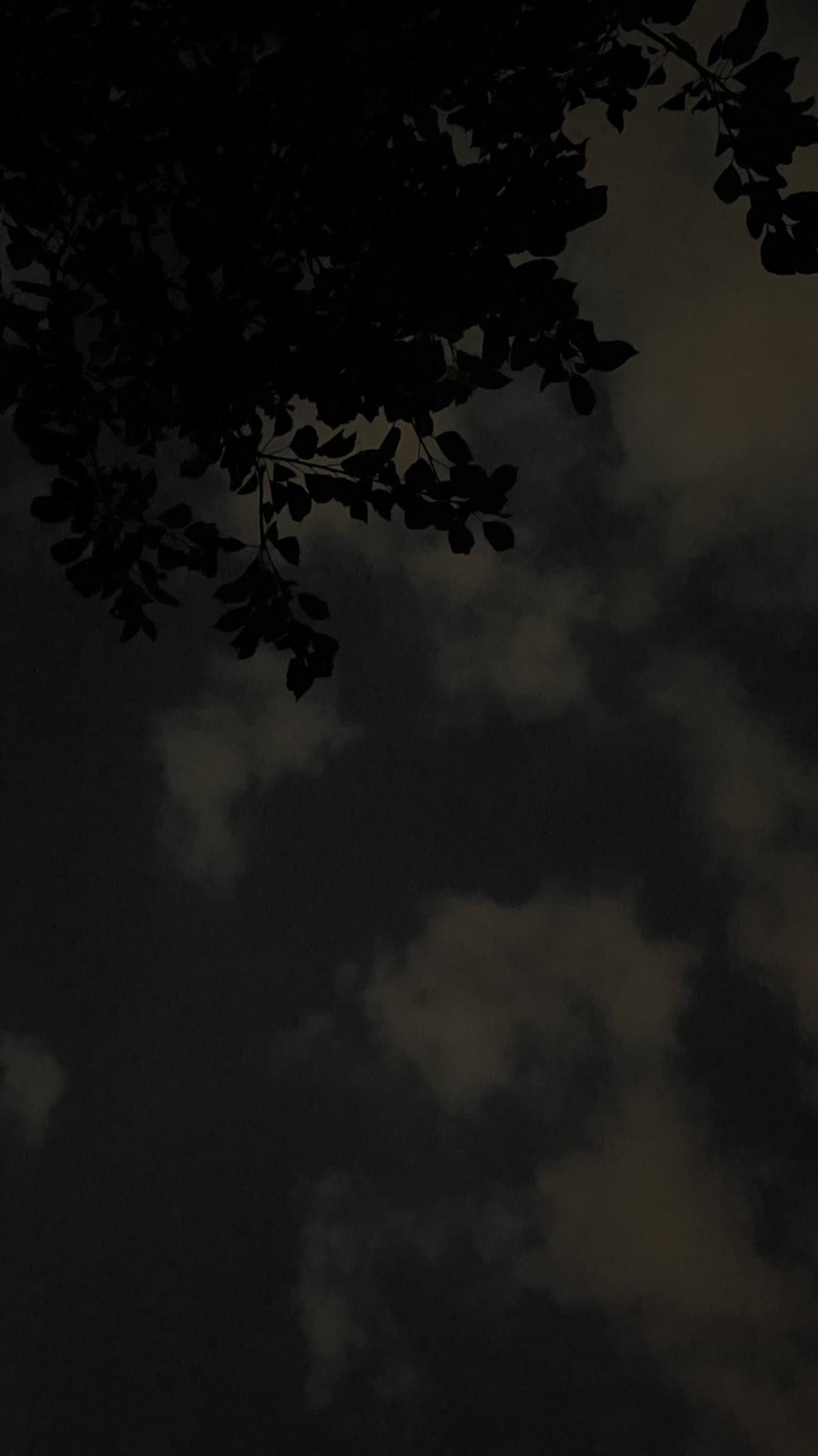 Quando il cielo si fa blu…
