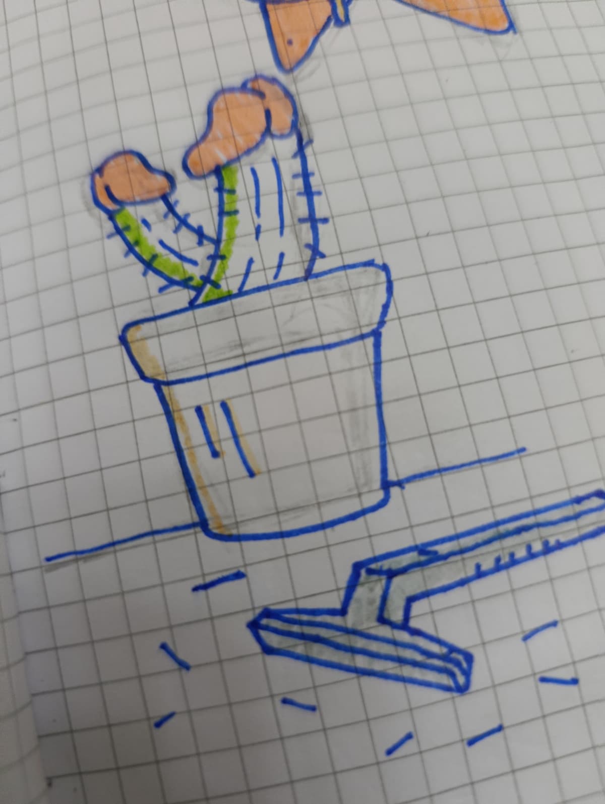 vi piace la mia piantina