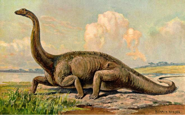 Ditemi cose che secondo voi sono mega sopravvalutate
