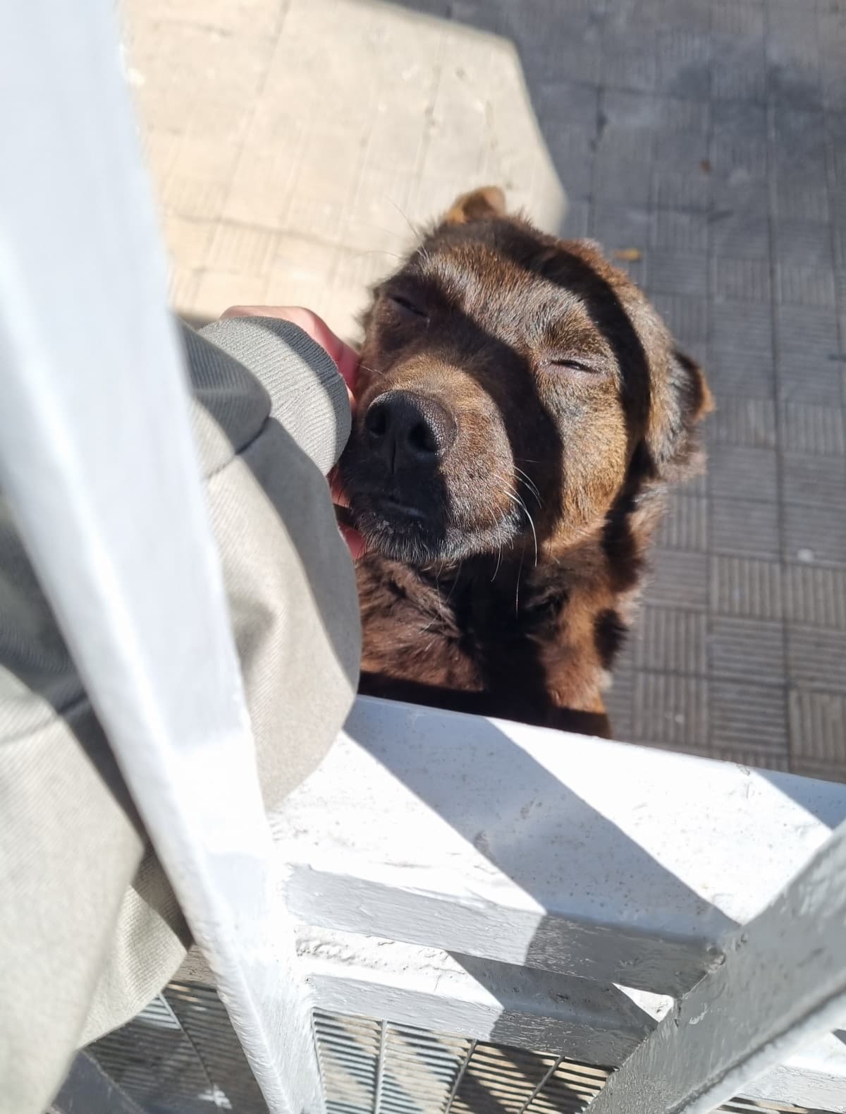 Il mio antistress scaccia tristezza è differente ❤️