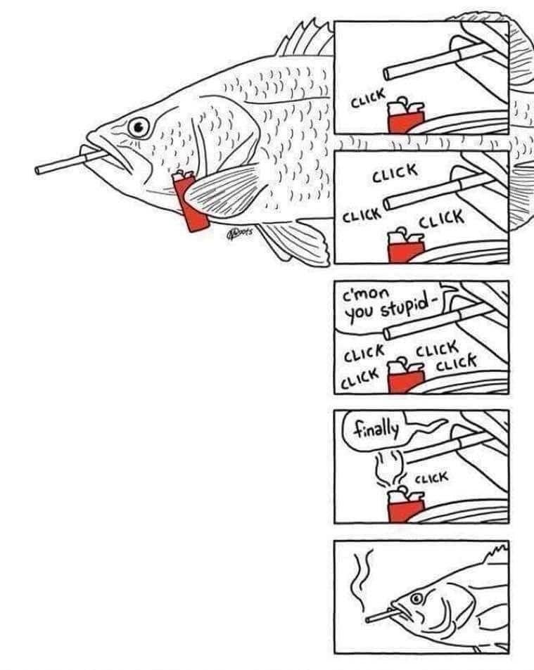 Pesce, ma che fai?