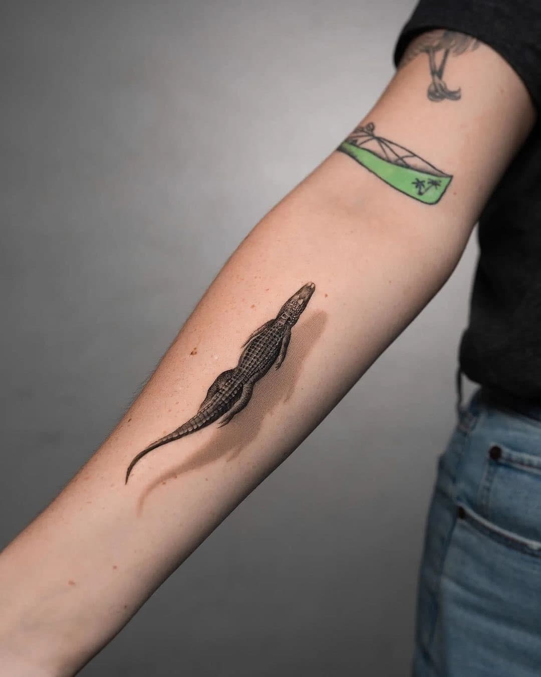 🐊