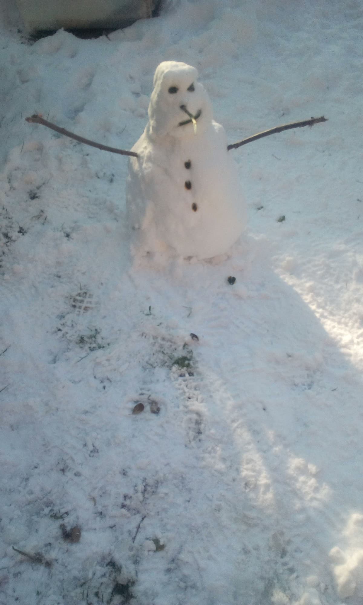 Neve seh