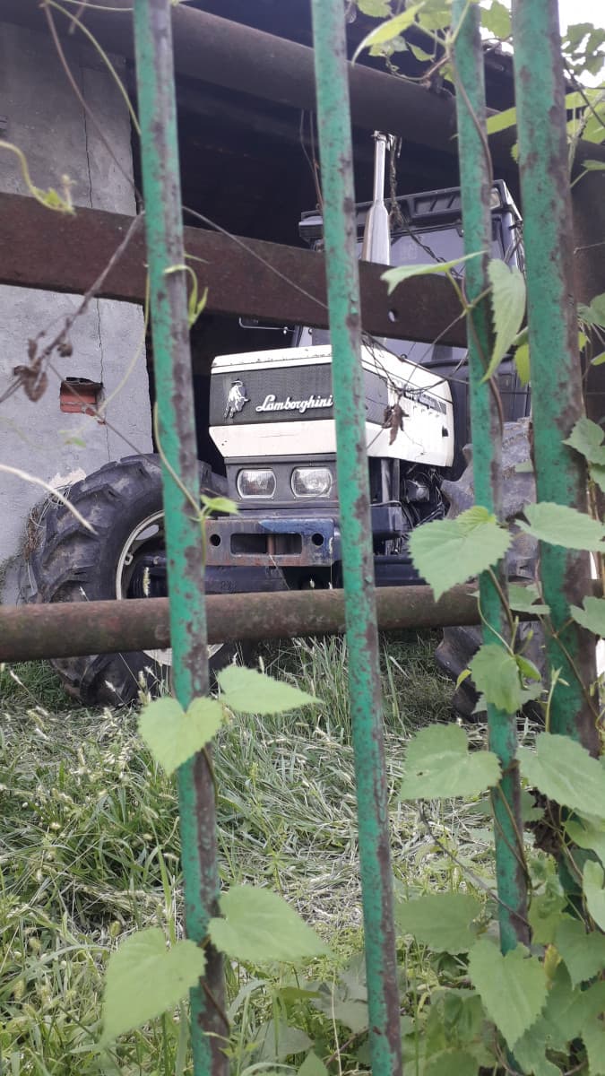 Vi piace il mio nuovo bolide?