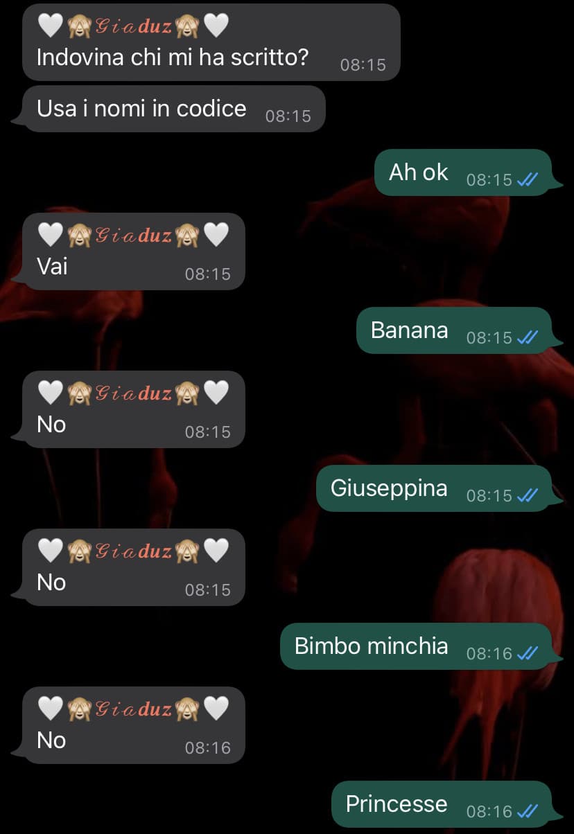 La mia amo ❤️?♀️