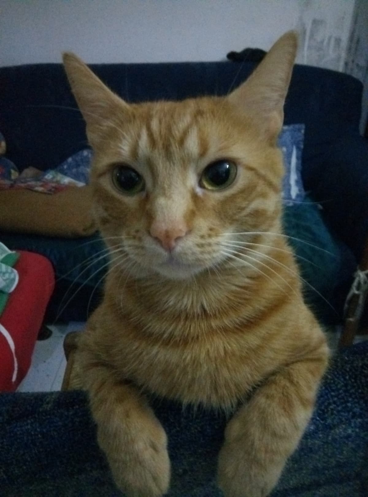 ma perché mi guardi cosi