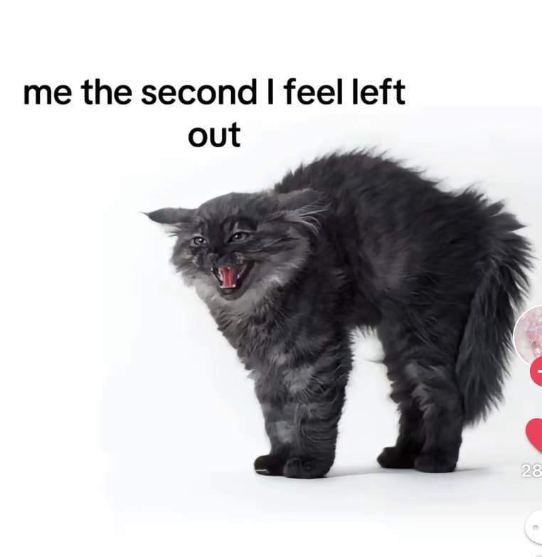 tbh 😭 sono stanca delle persone non ce la faccio più, I BITE