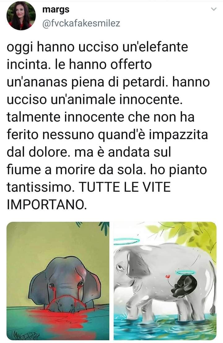 Questi primi mesi del 2020 non ci hanno insegnato veramente niente.