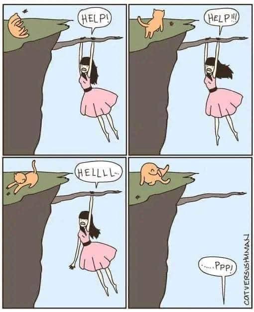 Ops