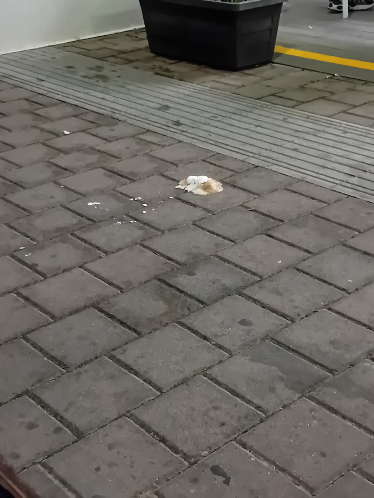 Quello era il mio gelato 5 minuti fa