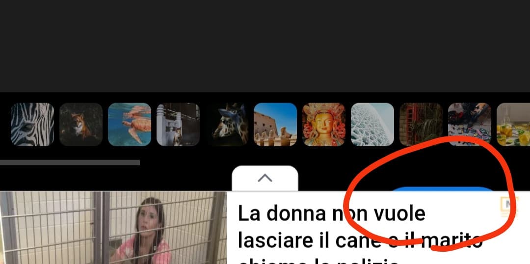 E io come stracazzo pubblico?