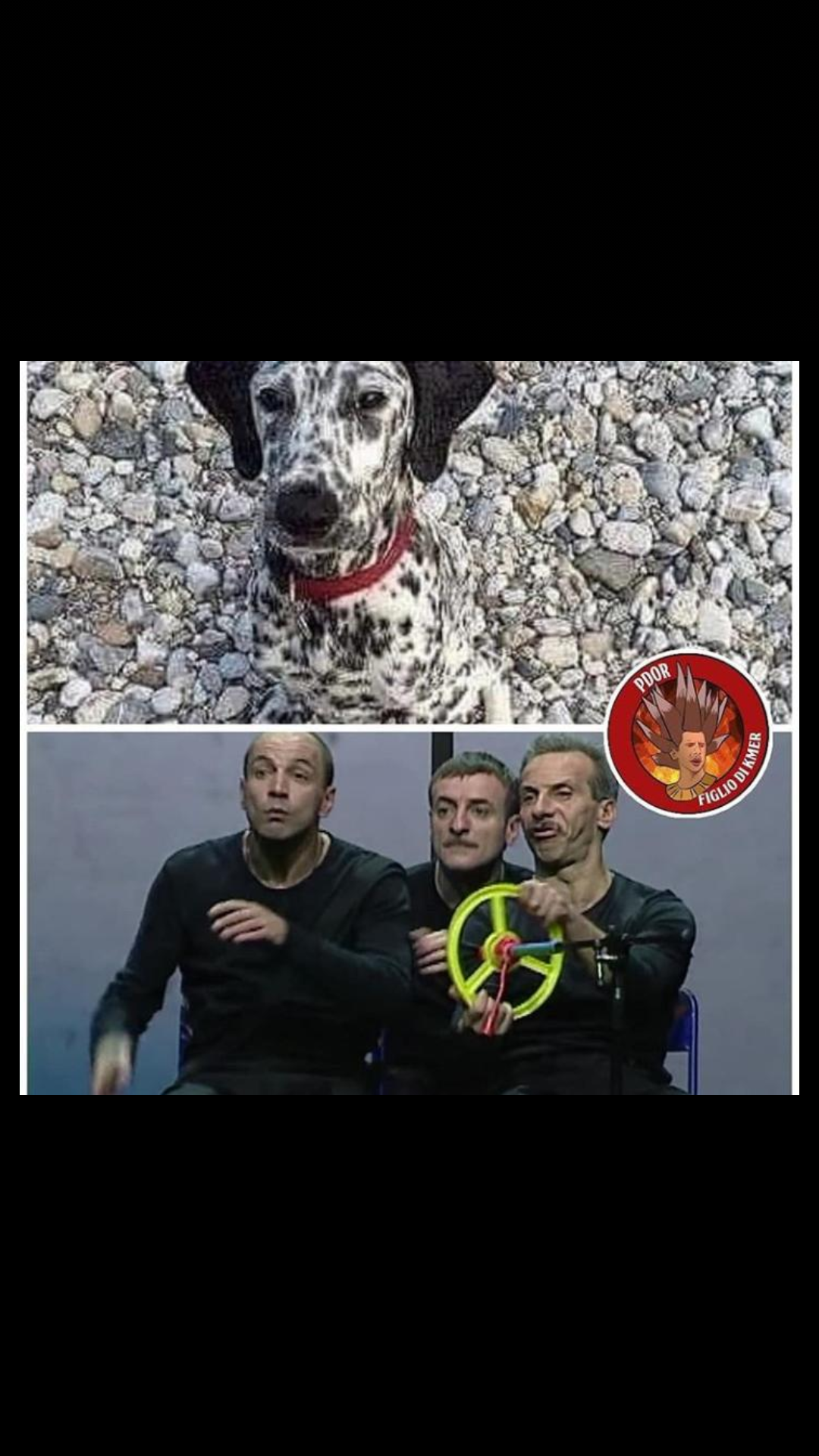 Chi la capisce