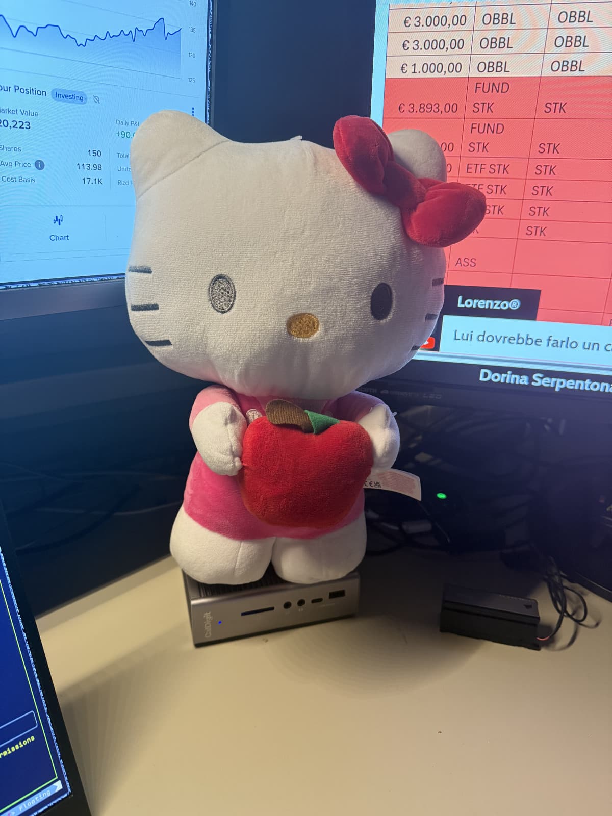 Il plushie di Hello Kitty che mi ha regalato il mio ragazzo con i miei soldi