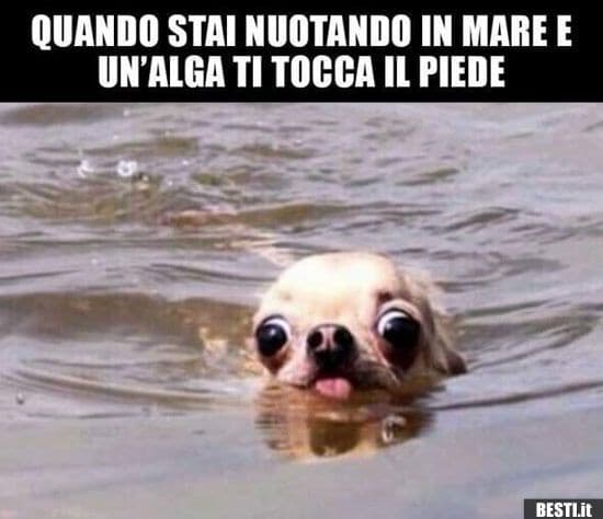Eh già