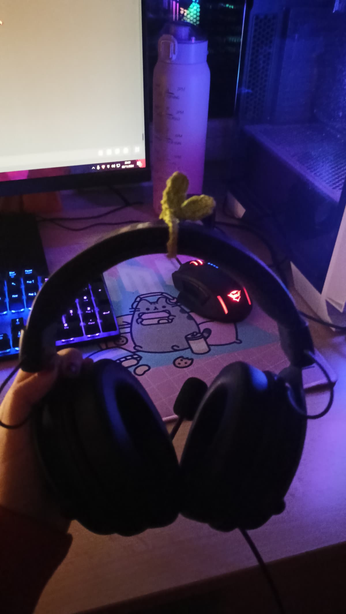ho fatto una fogliolina sulle mie cuffie