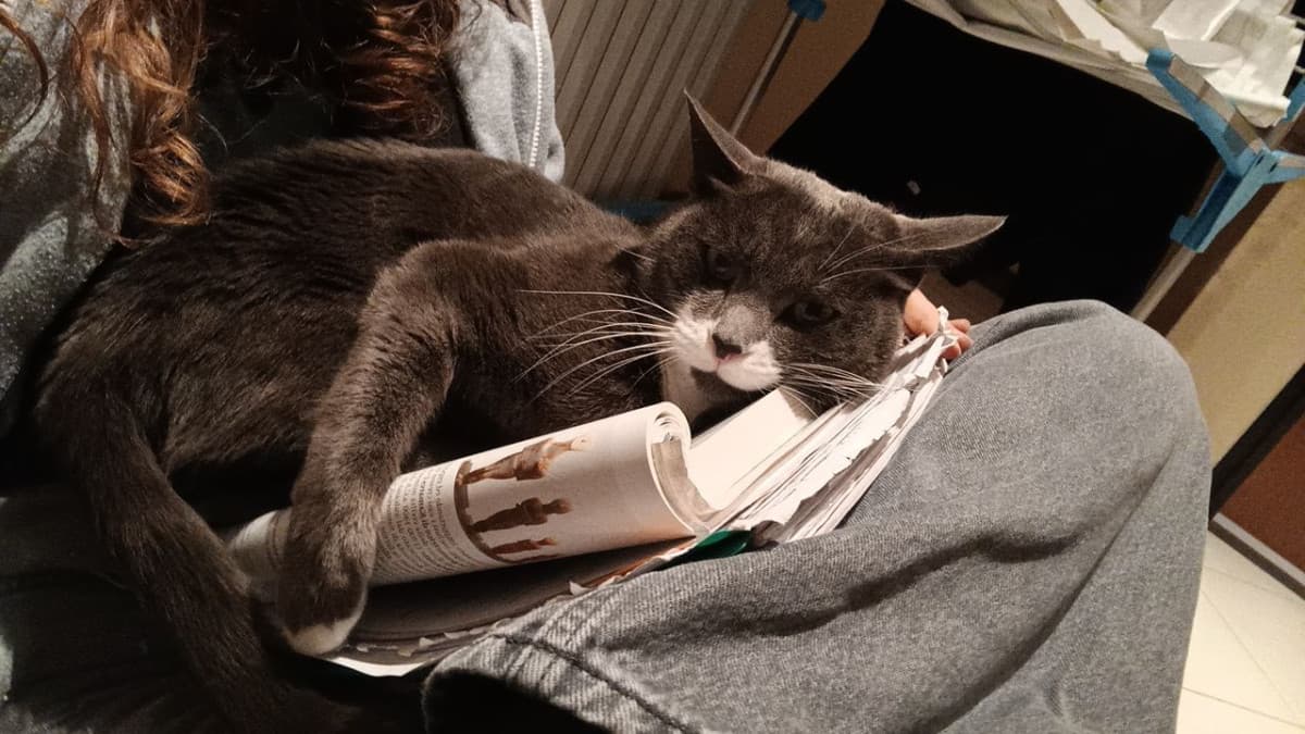 Ho capito, non devo più studiare