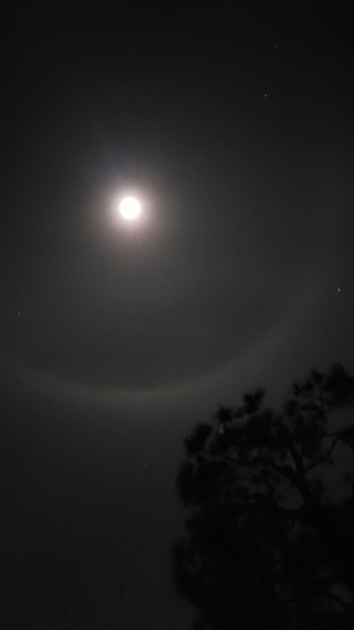 Ma che è quella roba intorno alla luna?