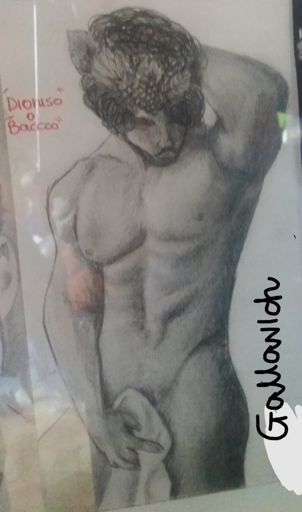 Prima prova modello maschile