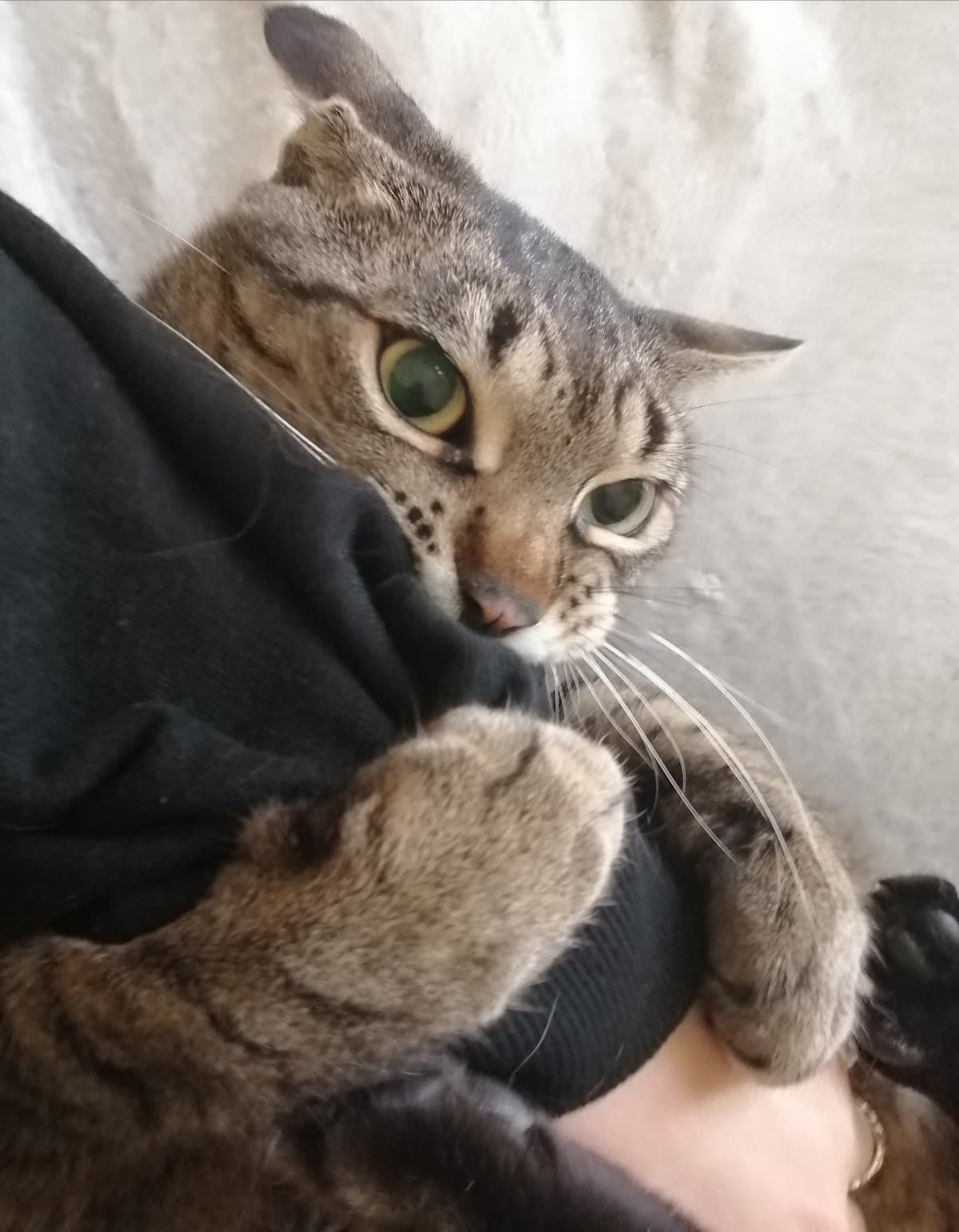 Sì amore, ti voglio bene anche io