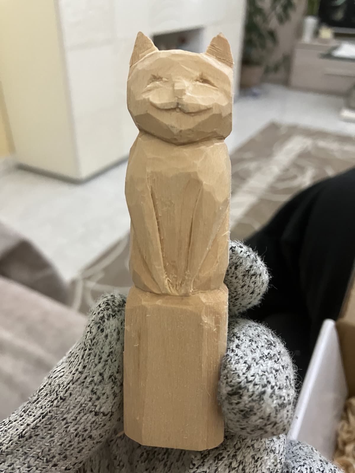Nuovo hobby