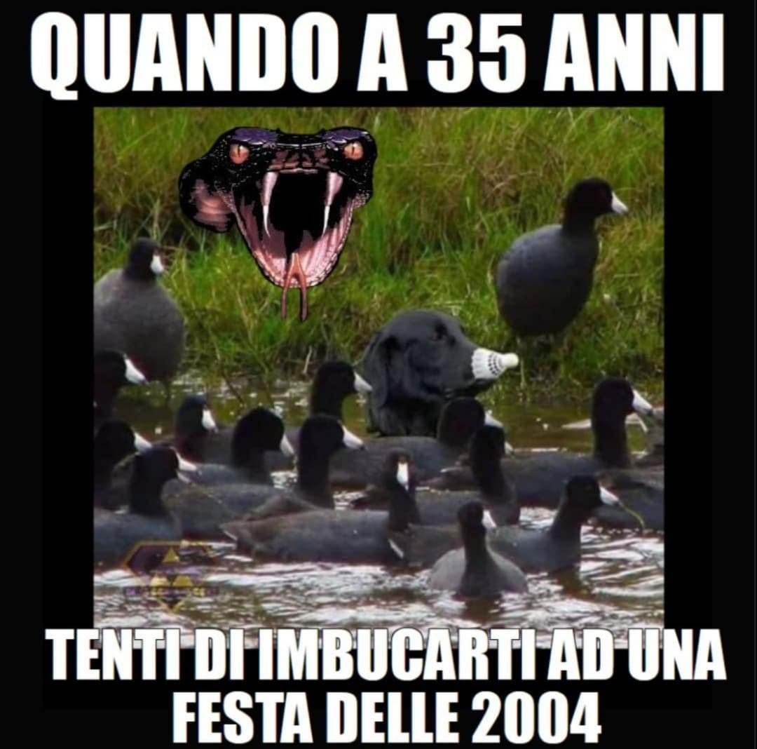 Beh raga che dire. C'è gente che posto meme di "faccia buco" e di "nasce cresce ignora". Io invece posto quelli del capobastone OKAY??