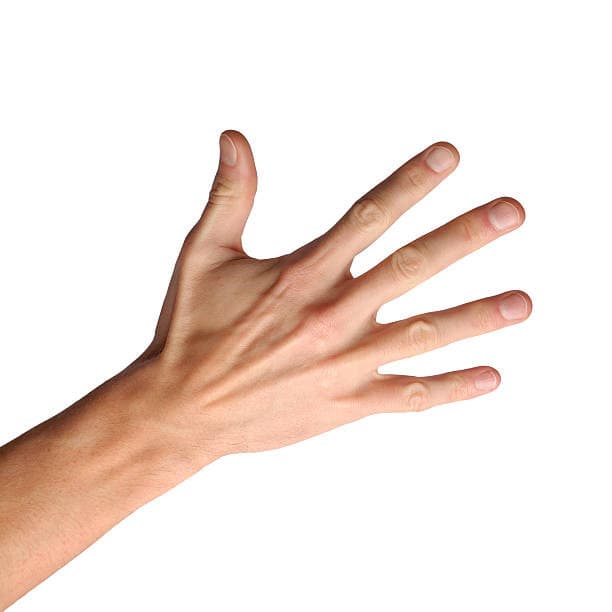 POV: sei la ragazza che si è scopata Saulo