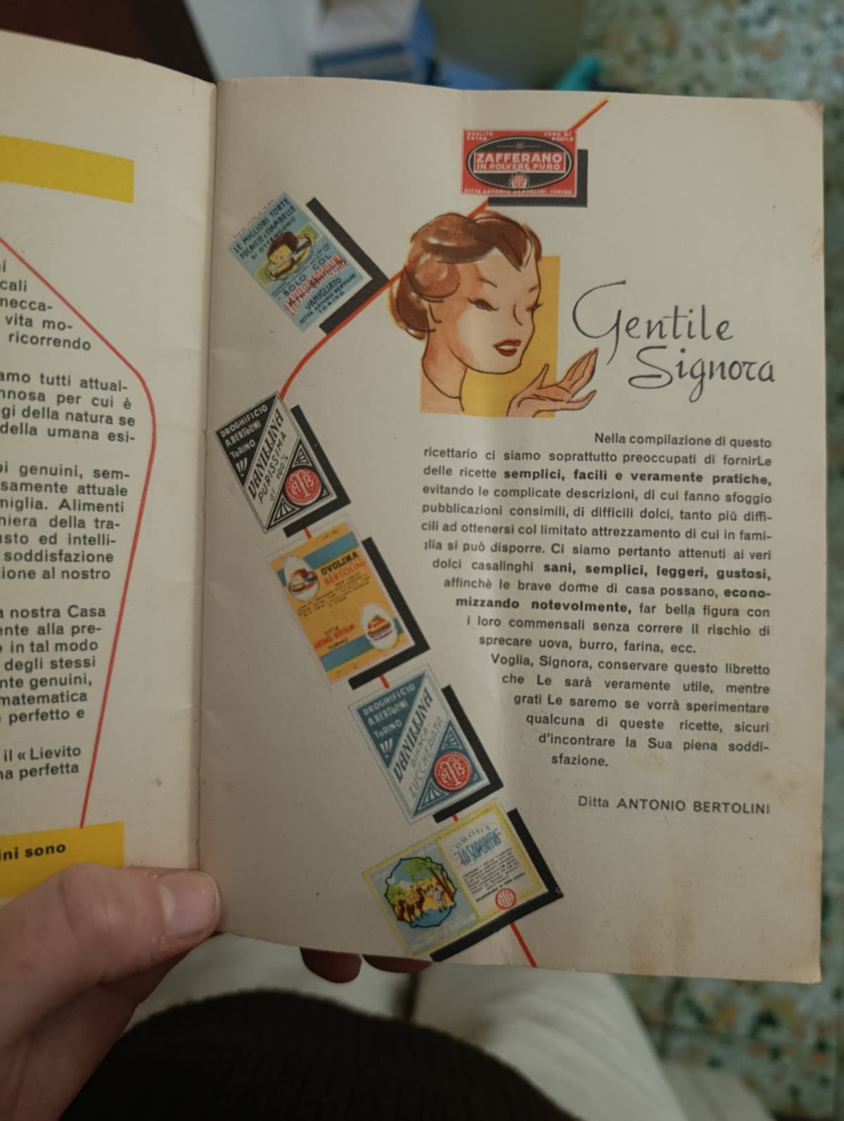 lievito Bertolini quando era maschilista