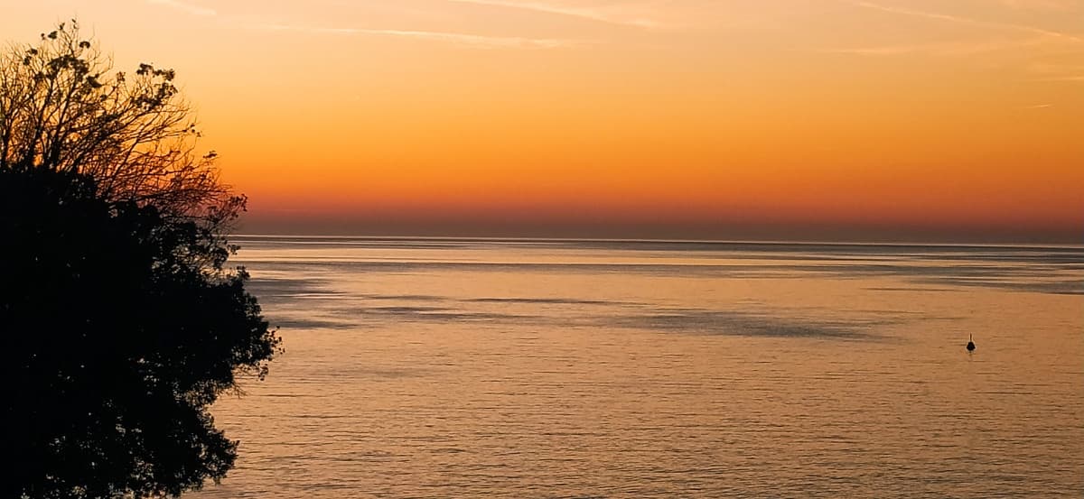 Anche su questo siamo estremamente indietro rispetto al resto dell'UE. Non una novità, ma dovrebbe farci suonare un campanello questa cosa, no?