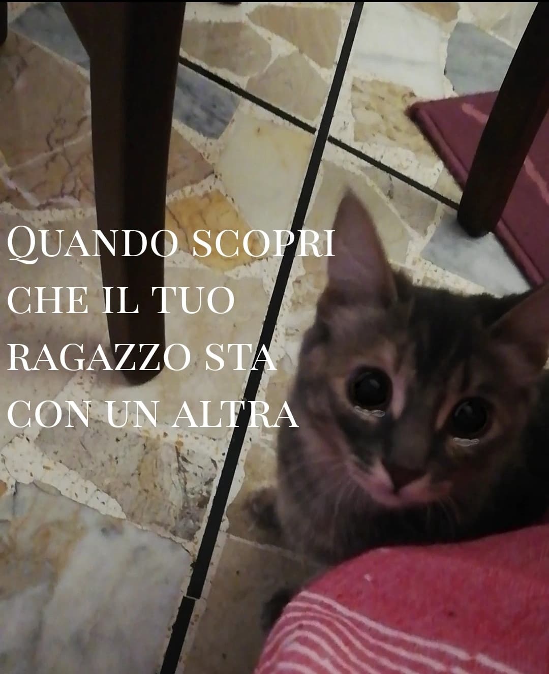 Ho creato questa "meme", che non si può manco chiamare meme? Che ne pensate?